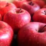 人気の【りんご品種10種】特徴、味、収穫時期を徹底比較！